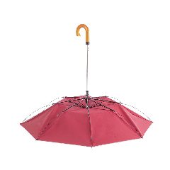 Chapéu de Chuva - Branit – foto 2