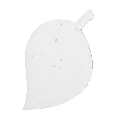 Papel Plantável - Cryar – foto 4