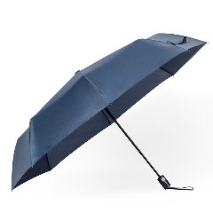 Chapéu de Chuva - Krastony – foto 7