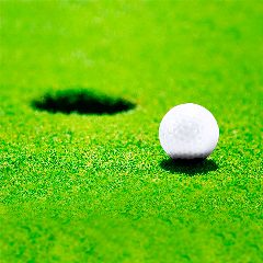 Bola Golf - Nessa – foto 5