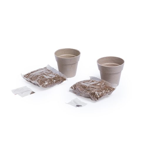 Set Vasos - Nertel